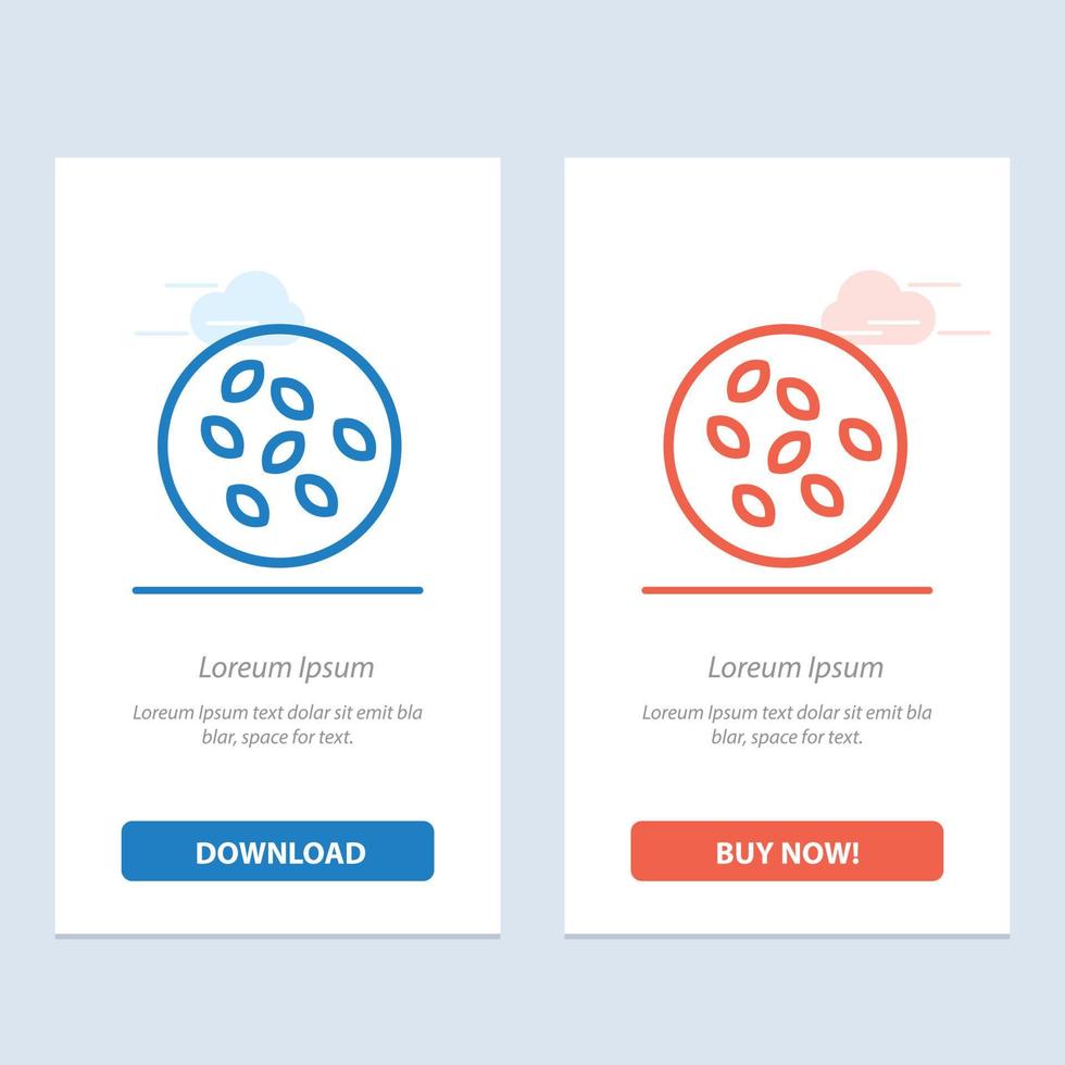 Seeds Sesame Sesame Seeds Seamus  Blue and Red Download and Buy Now web Widget Card Template vector