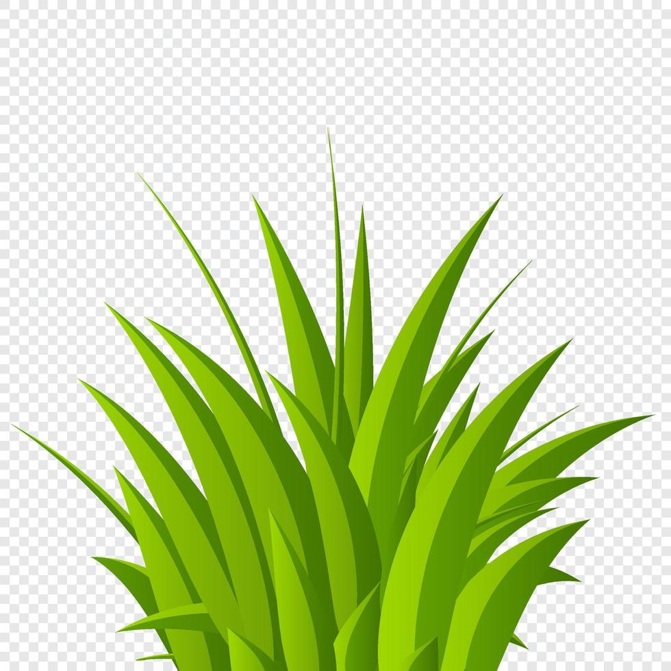 Green grass background. Fresh summer plants. Grass bushes. Hand drawn grass. Grass isolated. Eco symbol. Vector illustration