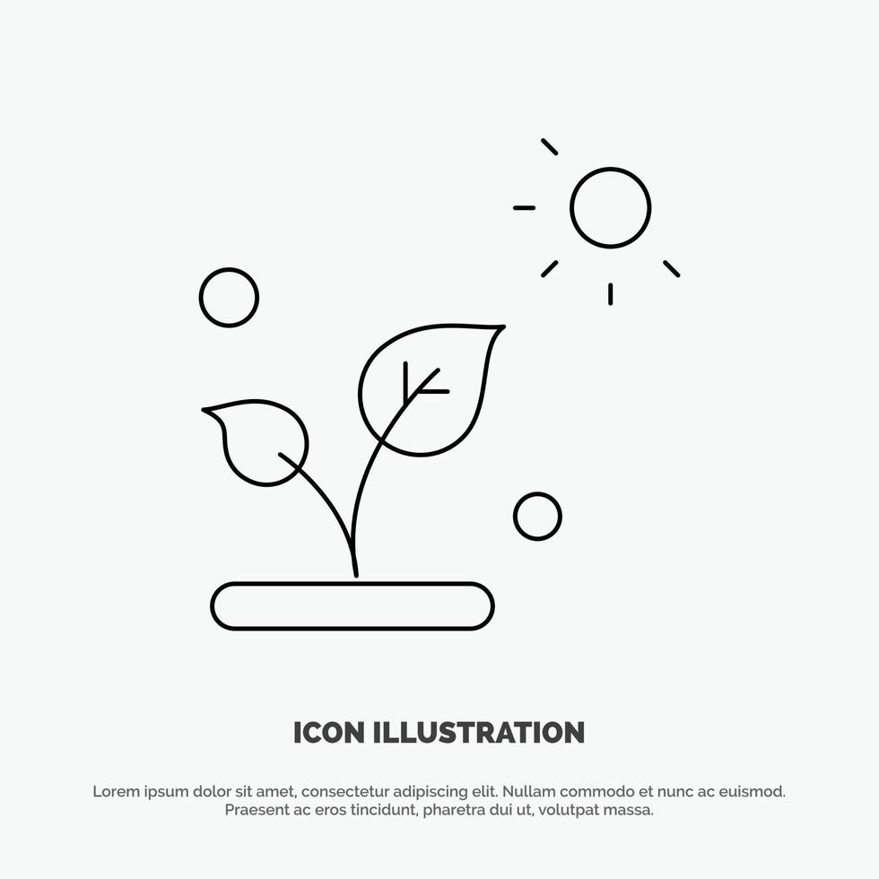 Biology Plant Science Sun Line Icon Vector