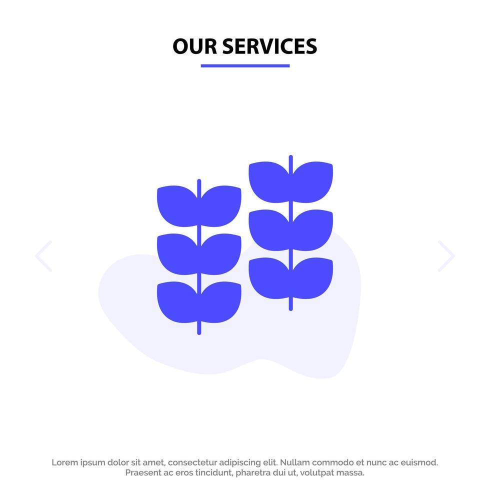 nuestros servicios hoja de planta crecimiento de plantas icono de glifo sólido plantilla de tarjeta web vector