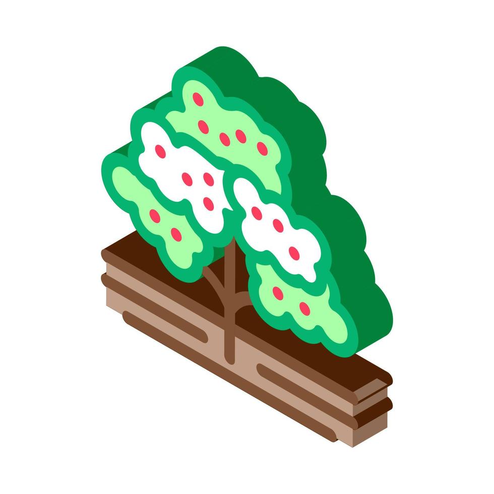 árbol de café icono isométrico ilustración vectorial vector