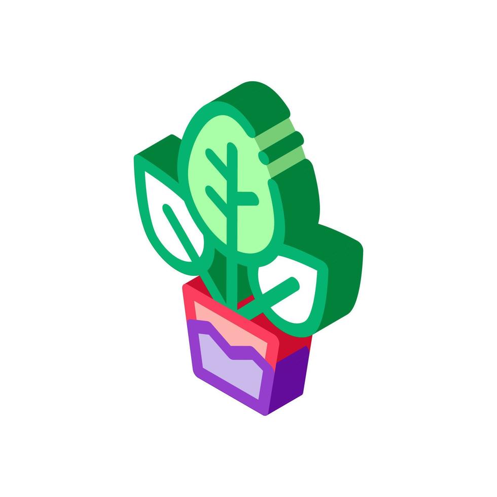 planta en maceta icono isométrico ilustración vectorial vector