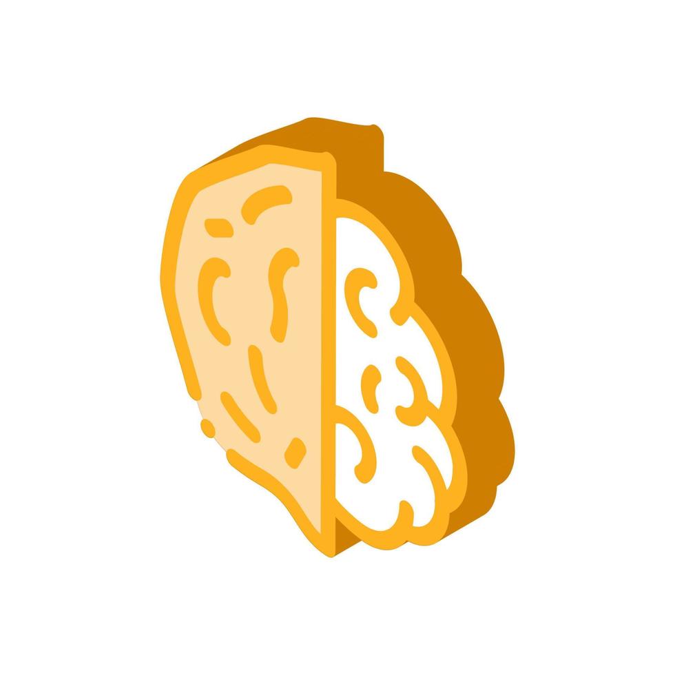 Walnut Nut isometric icon vector illustration