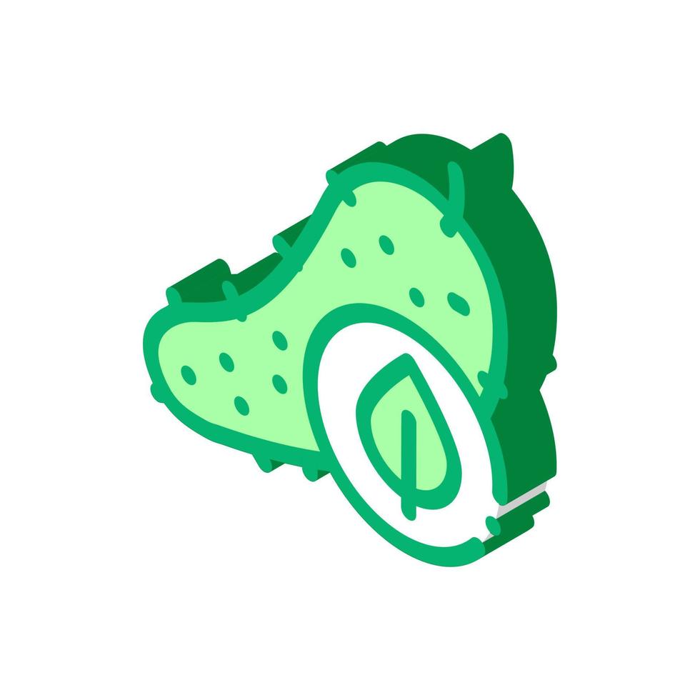 ilustración de vector de icono isométrico de hoja de pepino