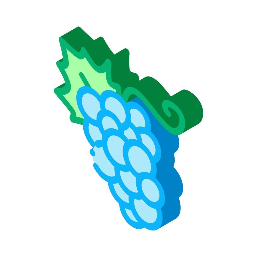 Grape Berries isometric icon vector illustration