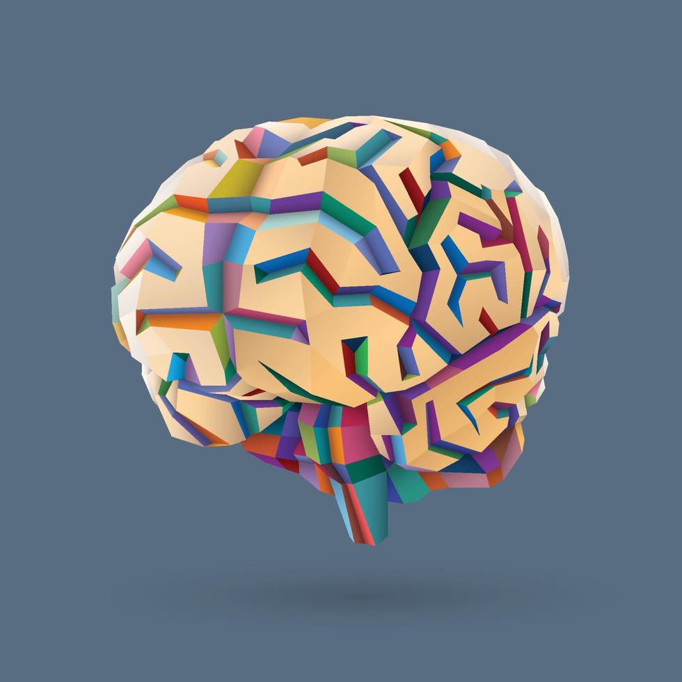 Ilustración 3d de un cerebro humano en formas geométricas con diferentes colores sobre un fondo gris. vector