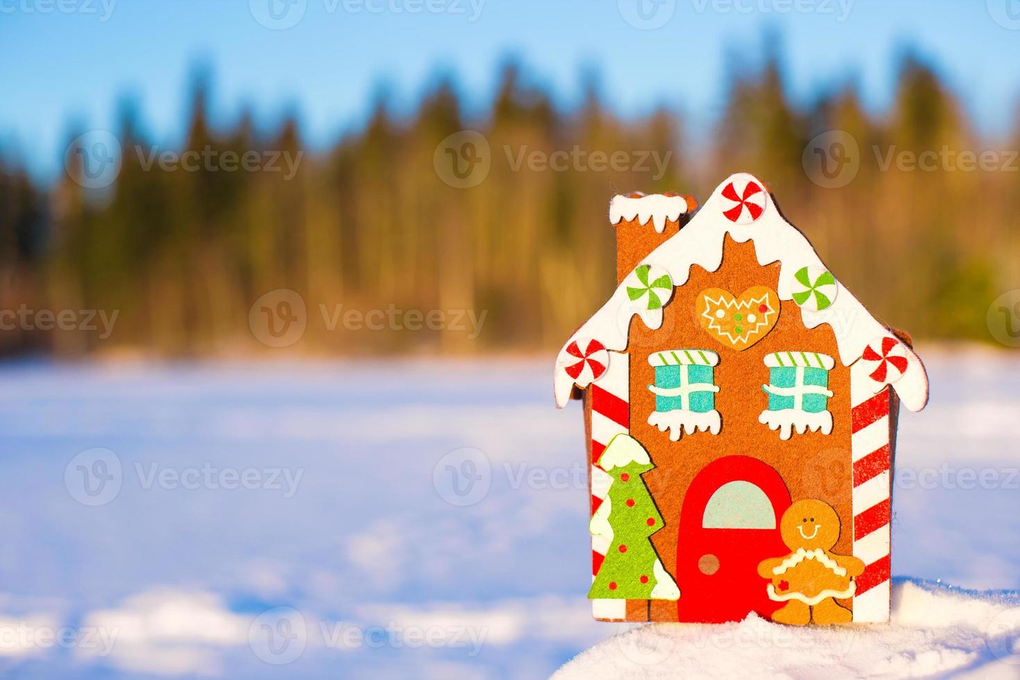 Winter Holiday Gingerbread house photo