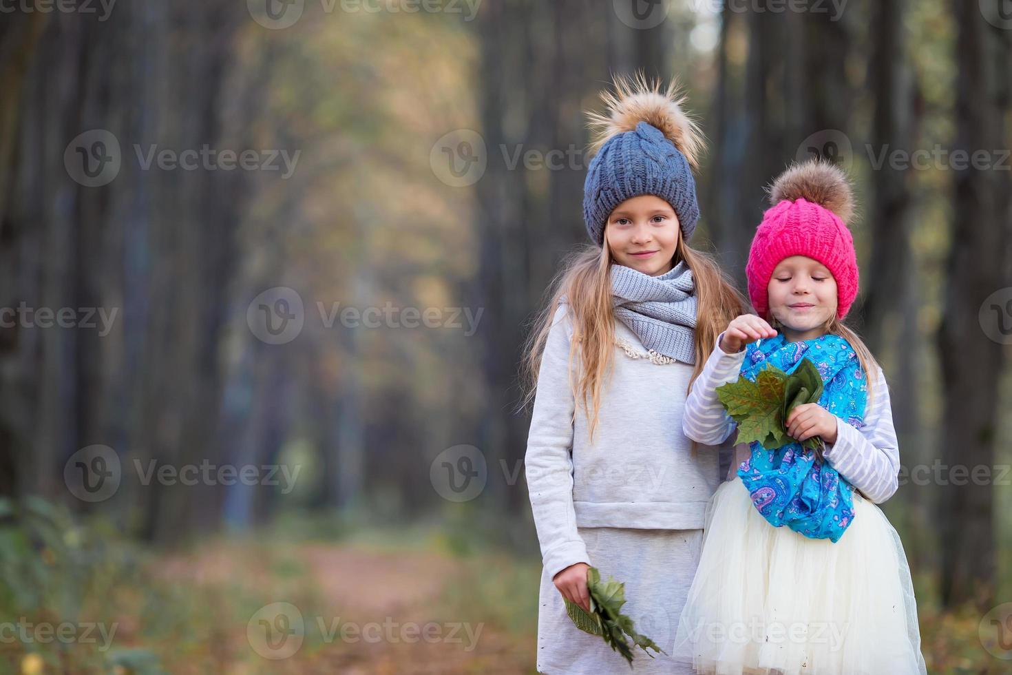 Adorable little girls with autumn leaves in the beautiful park photo