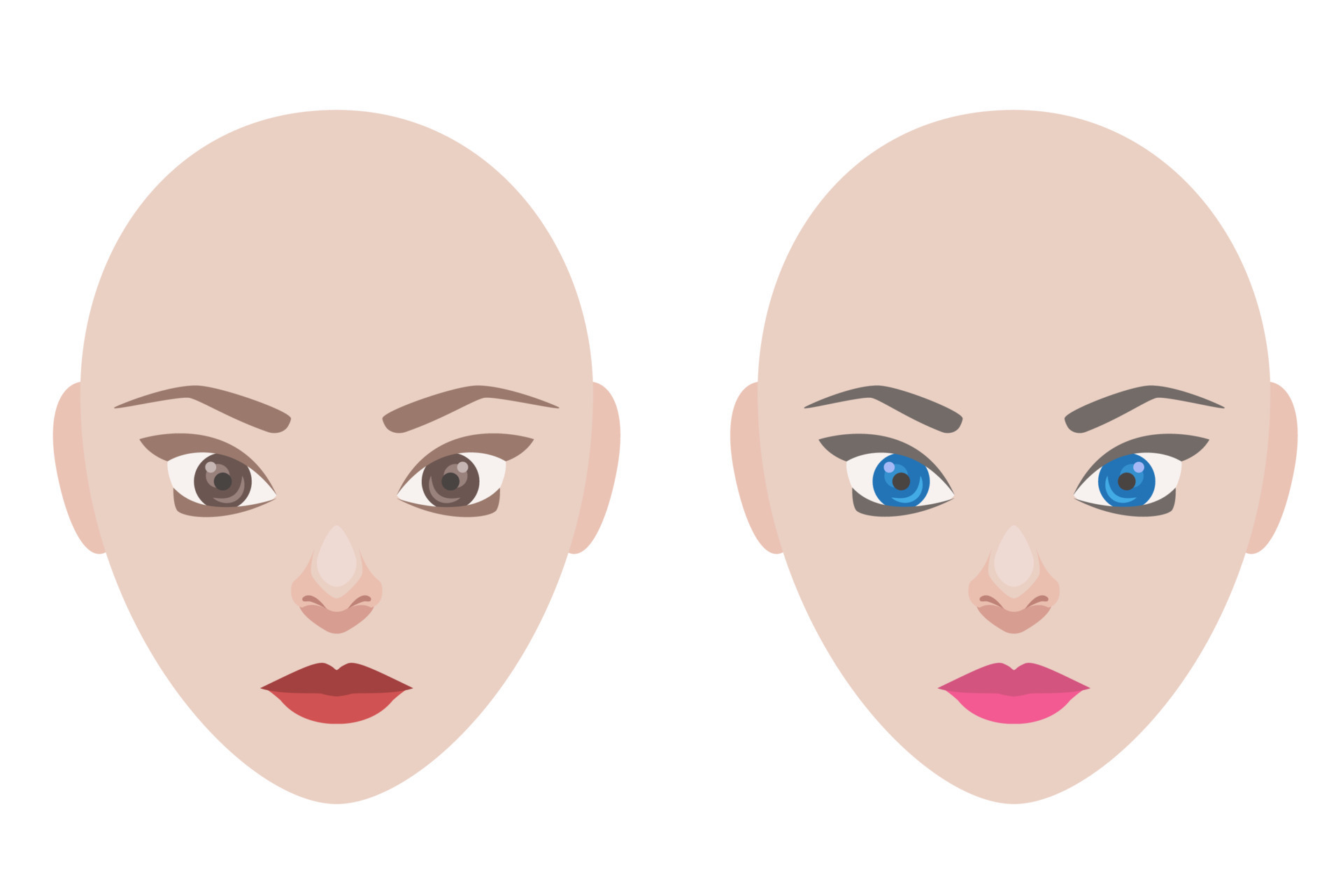 Woman portrait. Woman head without hair. Model for hairstyle. Just add any style of haircut. Bald woman, no hair. 18019305 Vector Art at Vecteezy Woman portrait. Woman head without hair. Model for hairstyle. Just add any style of haircut. Bald woman, no hair. 18019305 Vector Art at Vecteezy