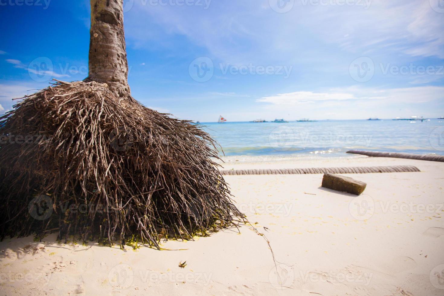 Perfect tropical beach with turquoise water and white sand beaches in Phillipines photo