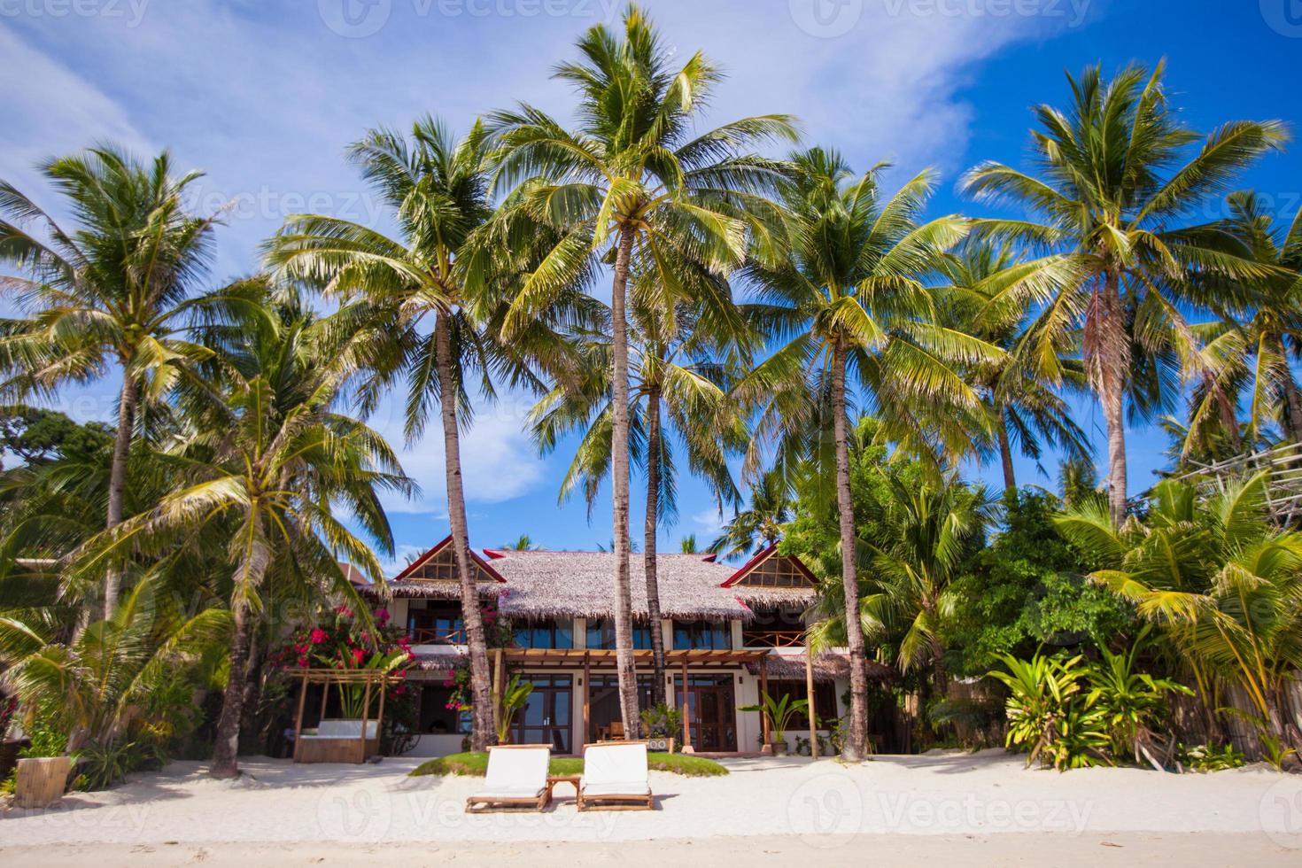 pequeño y acogedor hotel en un complejo tropical exótico foto