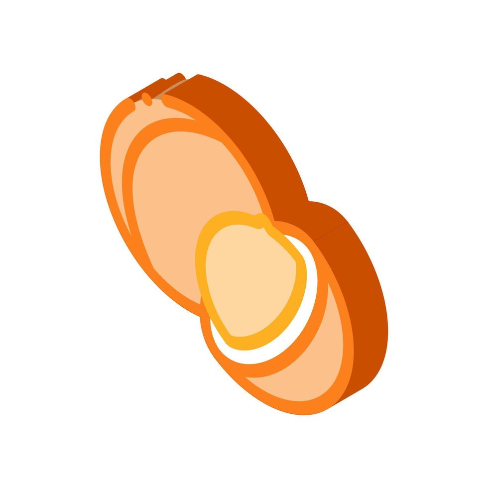 ilustración de contorno de vector de icono de nuez de macadamia