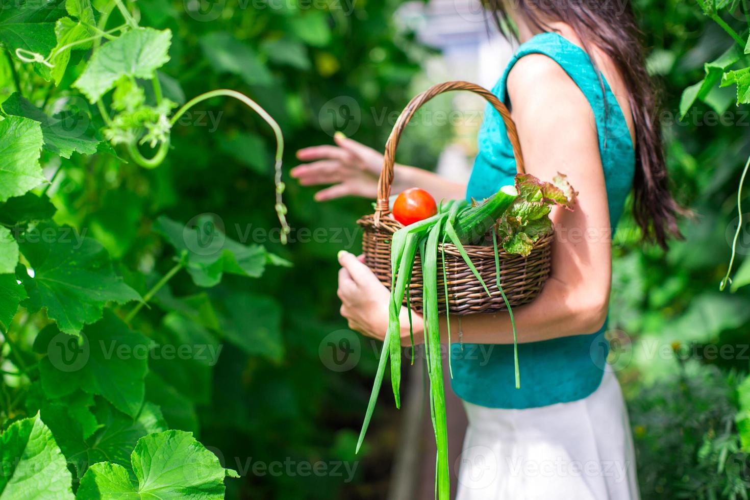 Close-up basket of greens in woman's hands photo
