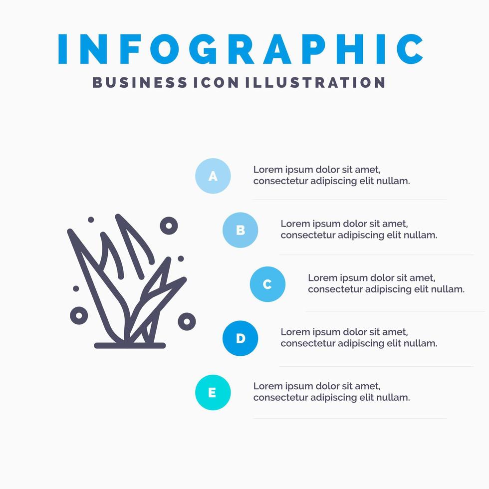 hierba pastos verde primavera línea icono con 5 pasos presentación infografía fondo vector