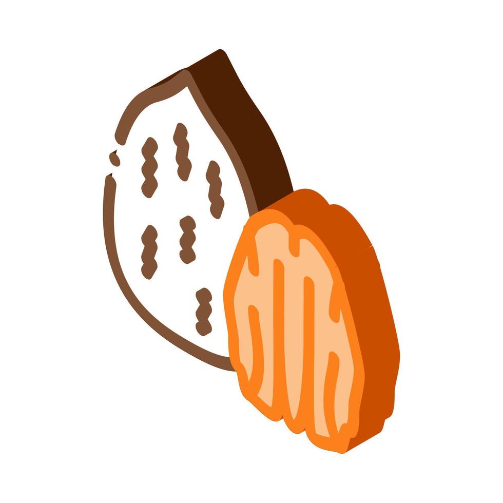 pecan nut icon vector outline illustration