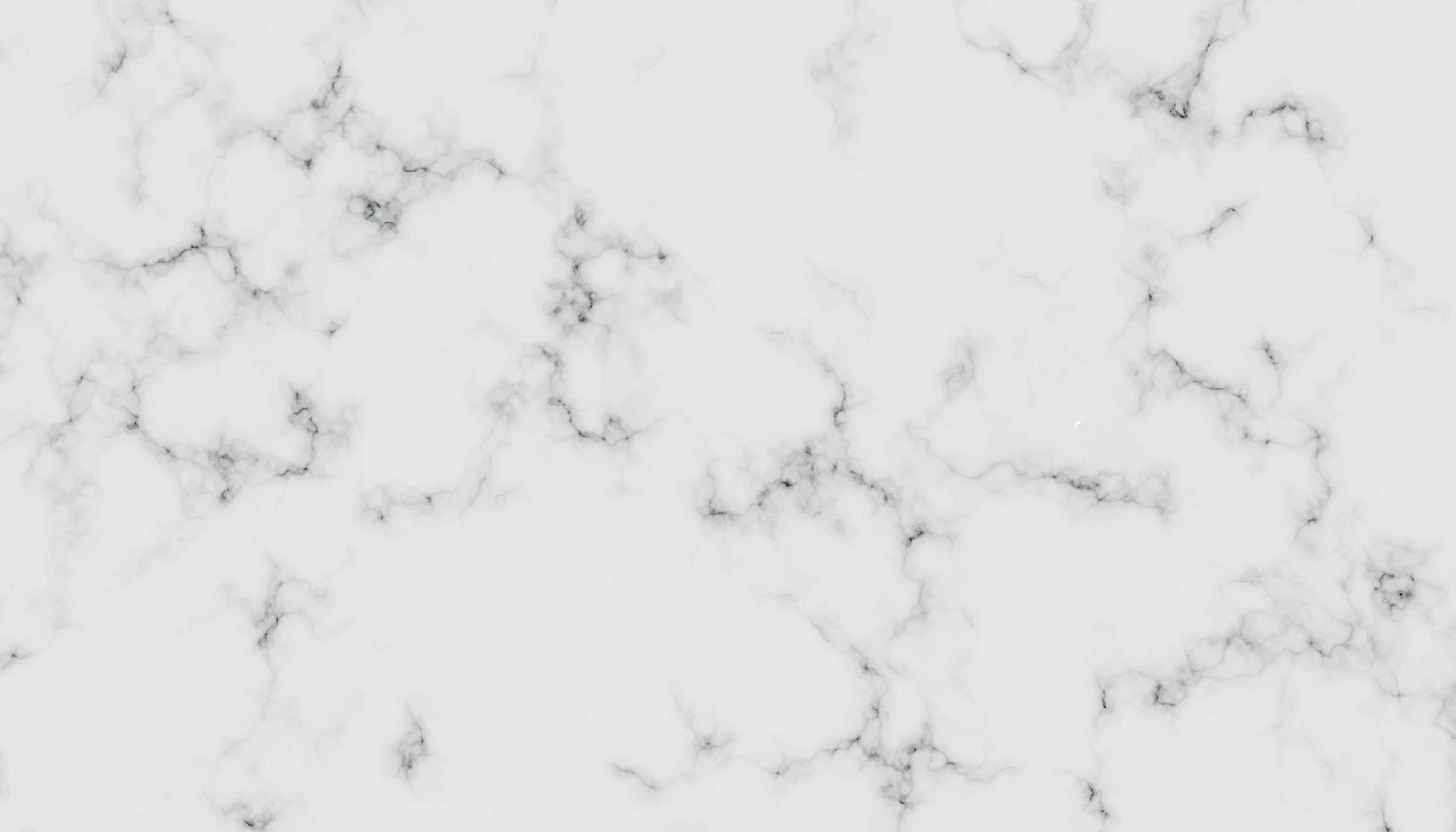 White marble background texture natural stone pattern.Abstract light elegant black for do floor ceramic counter texture stone slab smooth tile gray silver.Marble texture for skin tile luxurious design vector