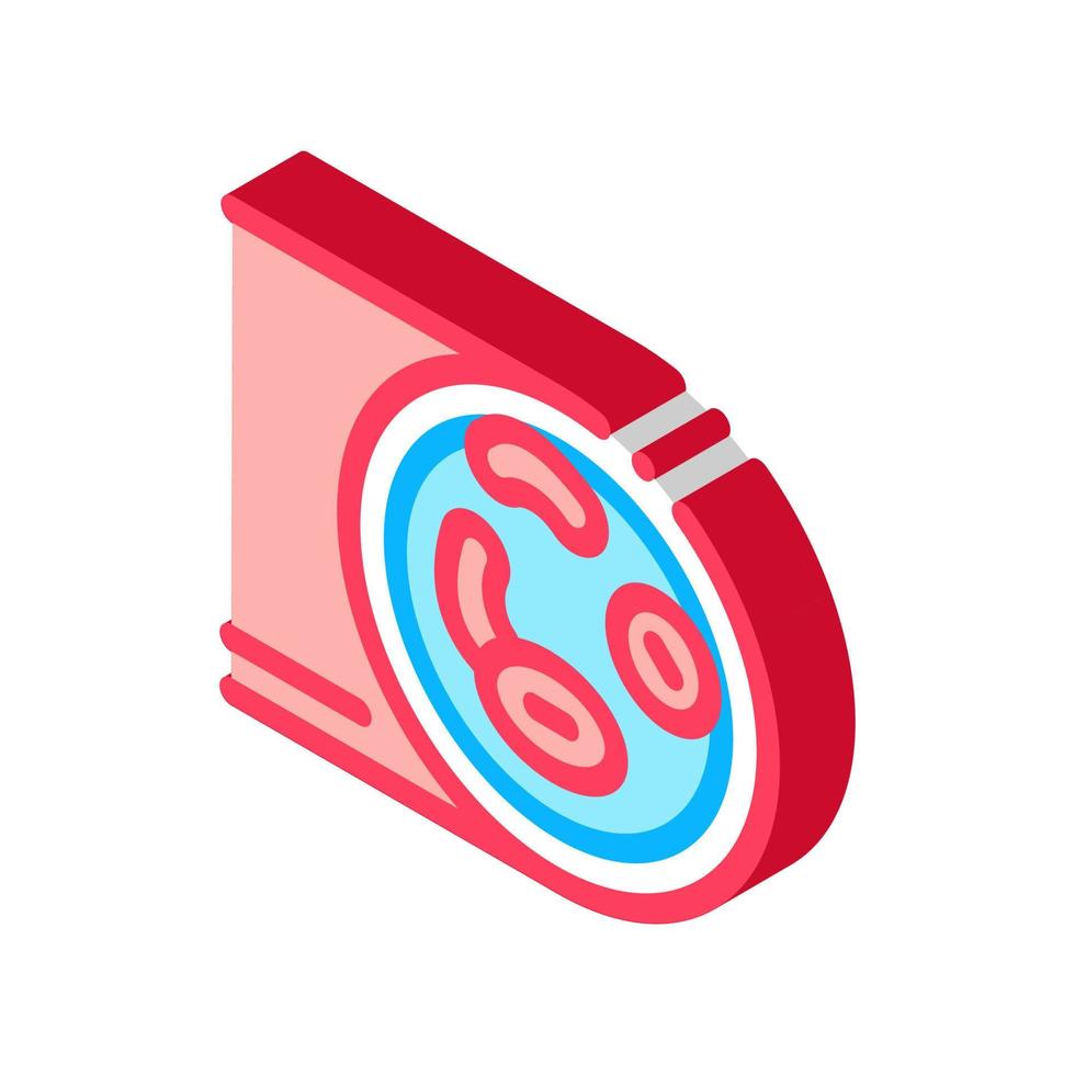 healthy artery isometric icon vector illustration