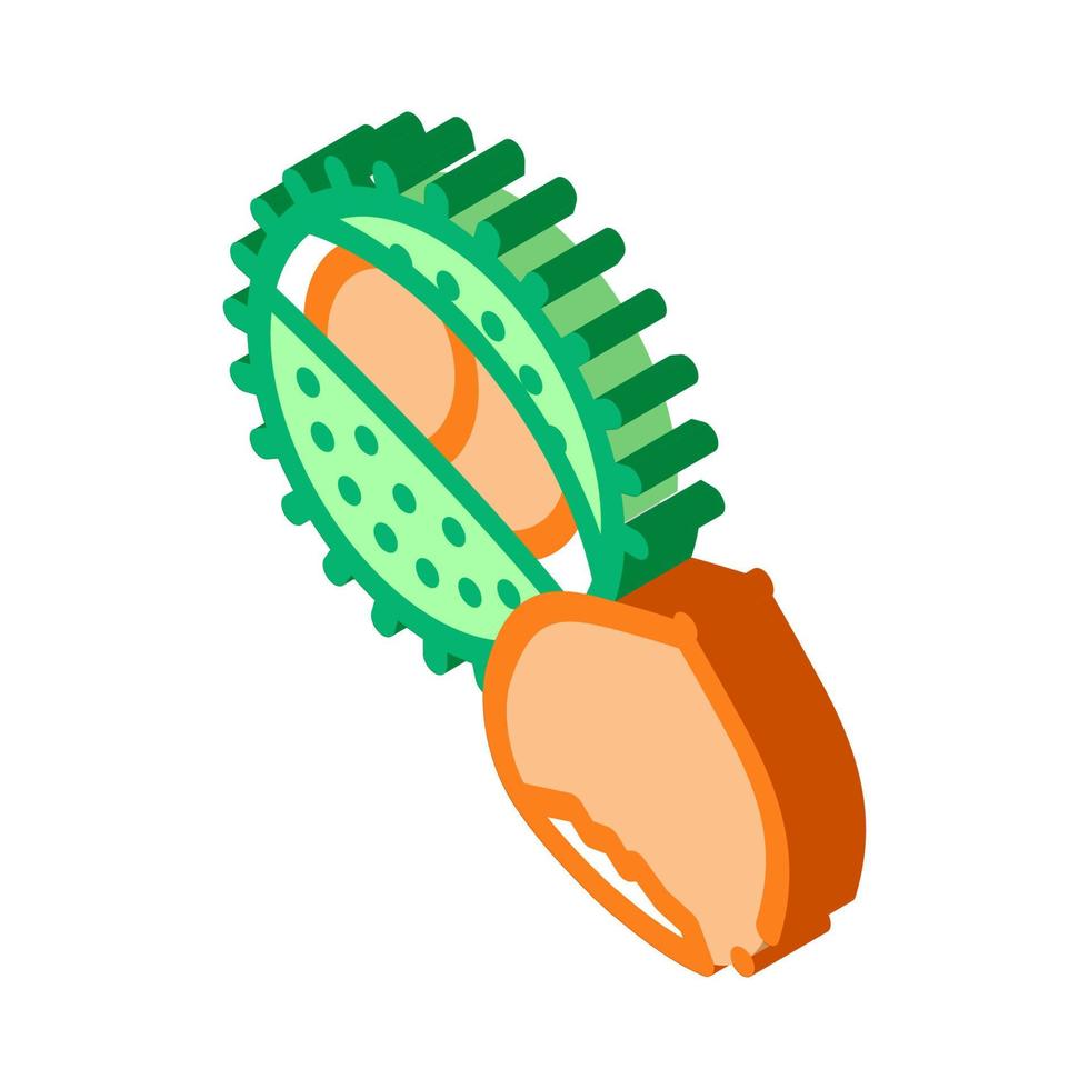 chestnut nut isometric icon vector illustration