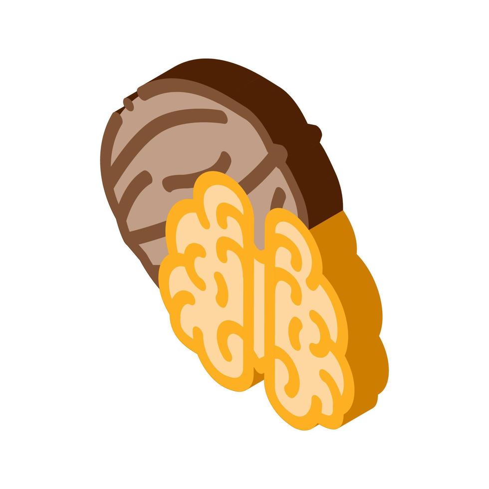 walnut nut icon vector outline illustration