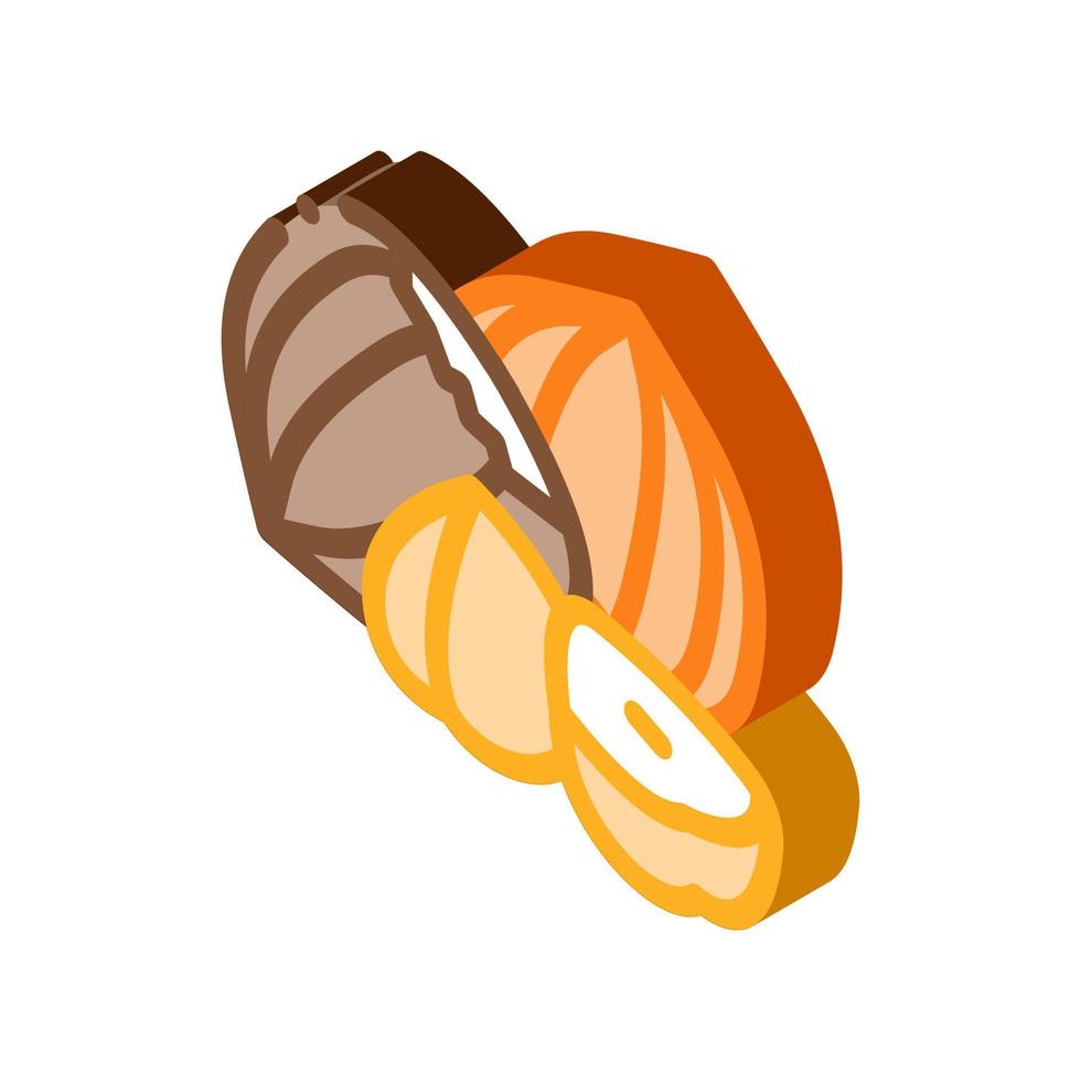 hazelnut nut icon vector outline illustration