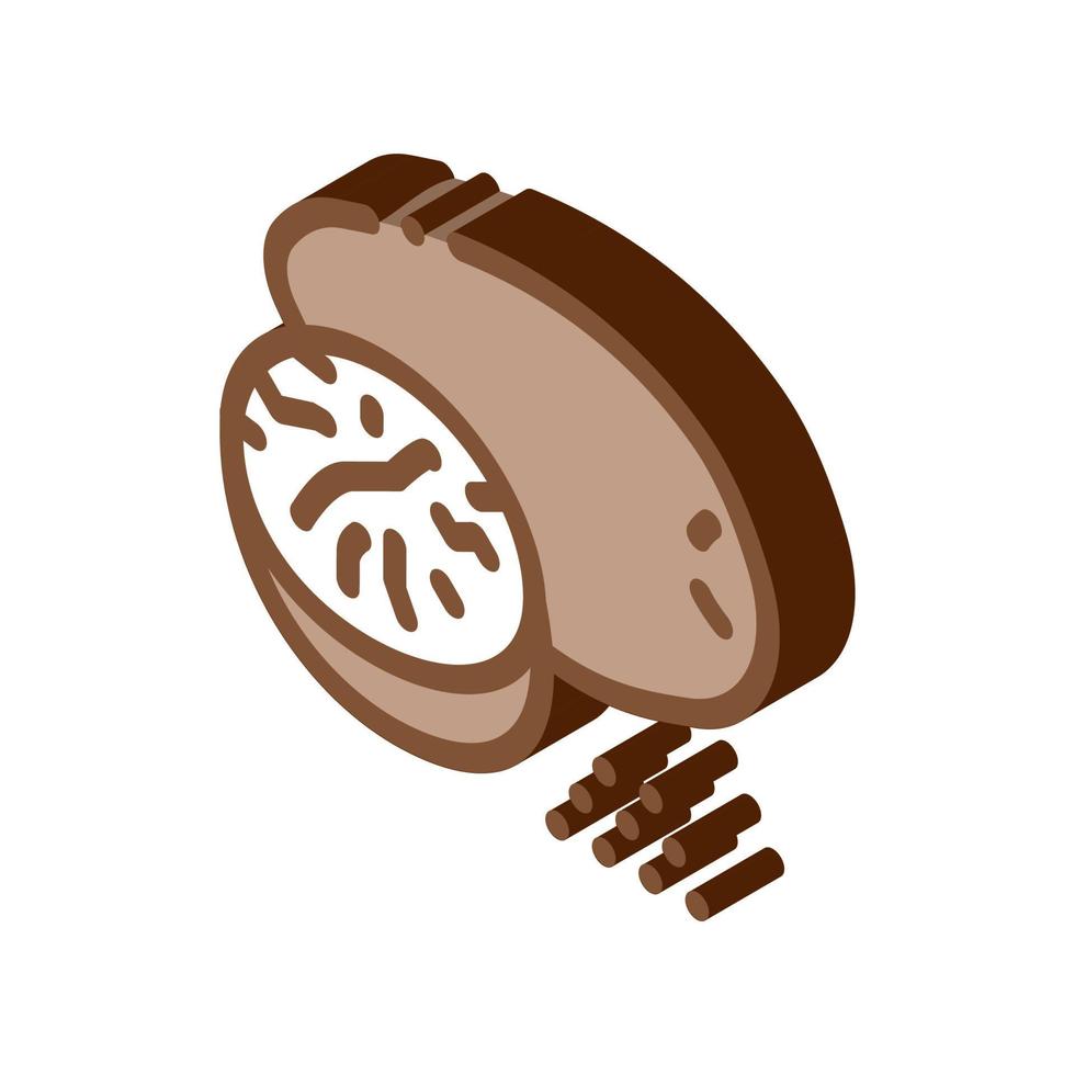 nutmeg nut isometric icon vector illustration