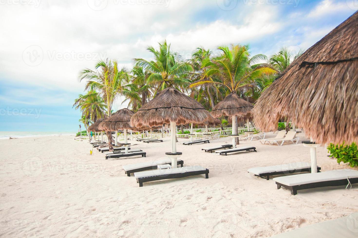 Beach sunbeds on white beach photo