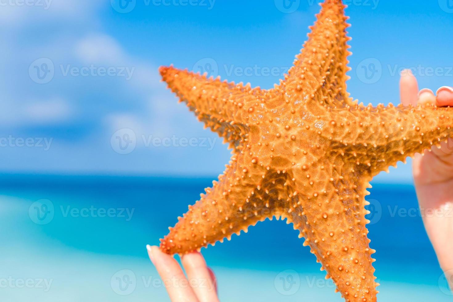 arena blanca tropical con estrellas de mar rojas en el fondo de las manos el mar foto