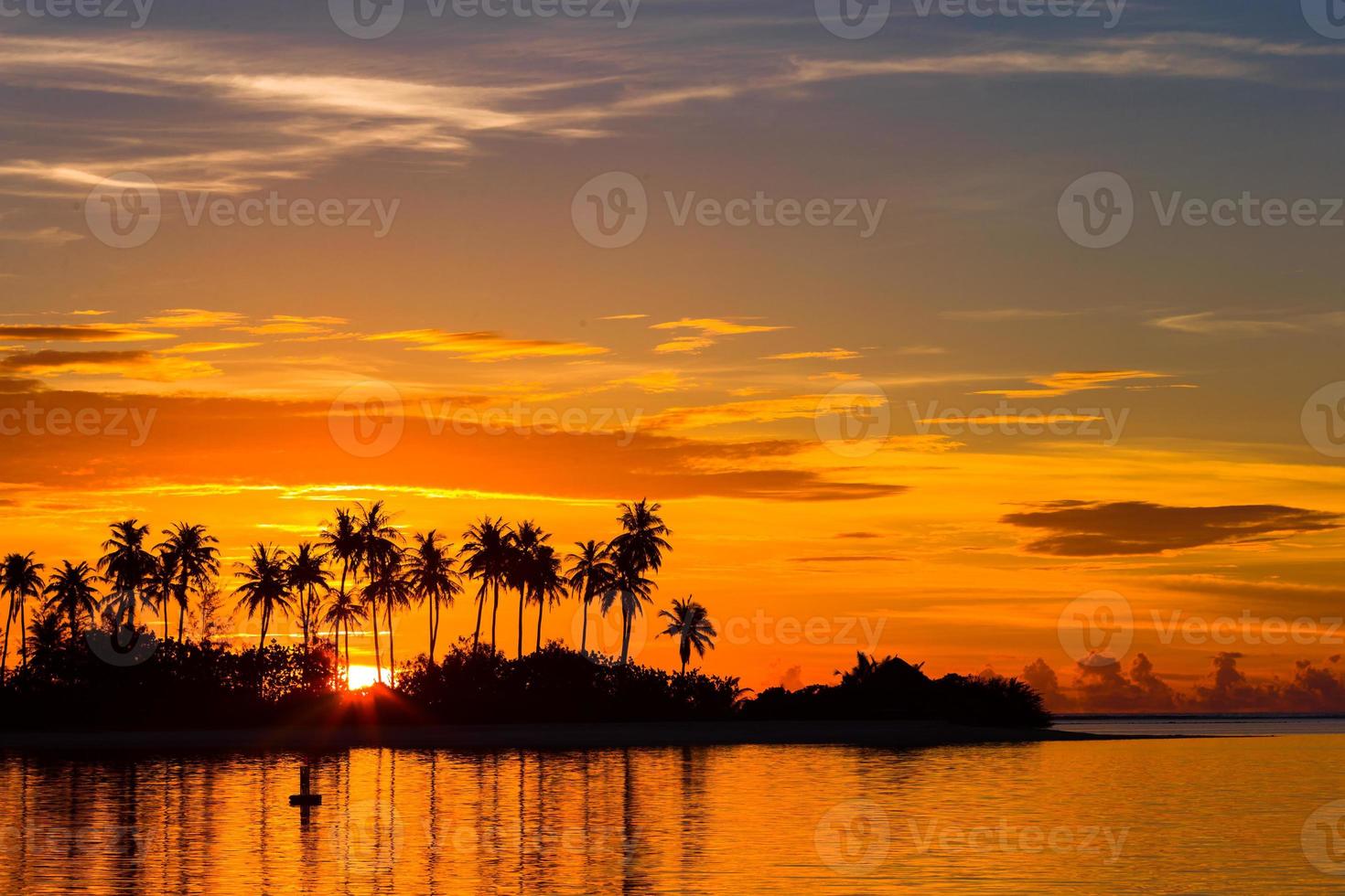 Beautiful sunset with dark silhouettes of palm trees and amazing cloudy sky in tropical island photo