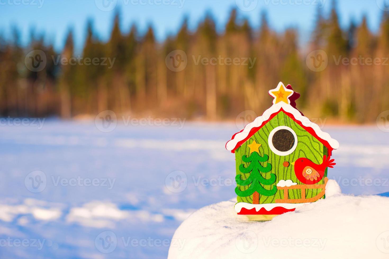 Winter Holiday Gingerbread house photo