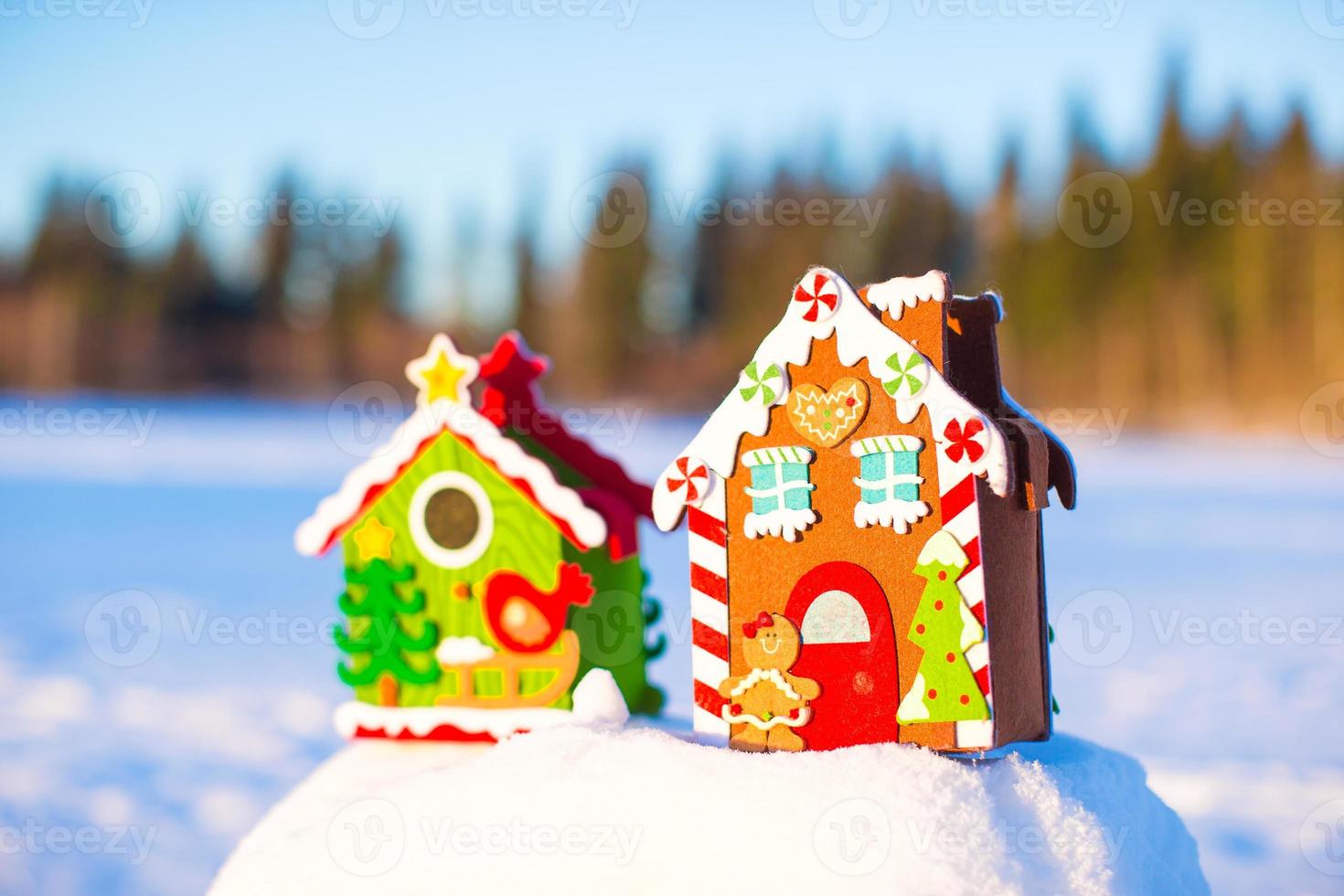 Winter Holiday Gingerbread house photo