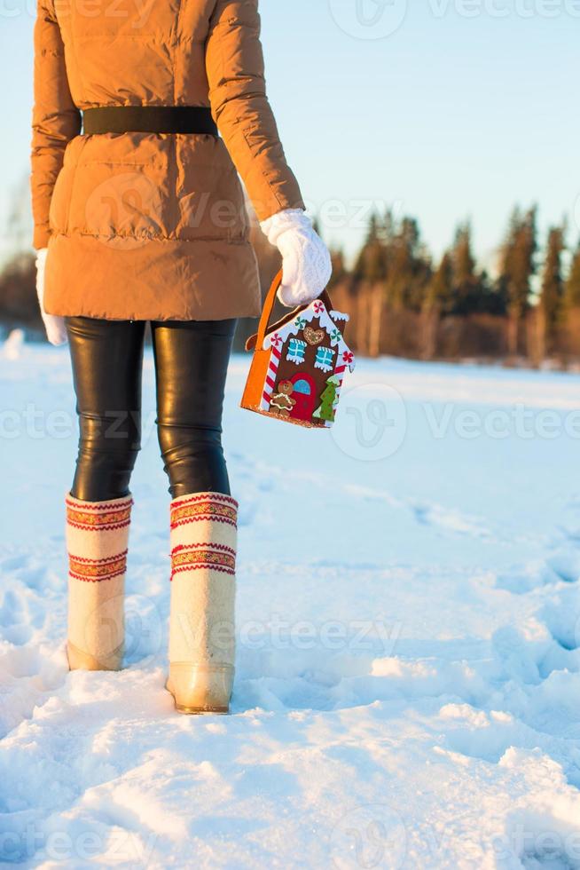 Winter Holiday Gingerbread house photo