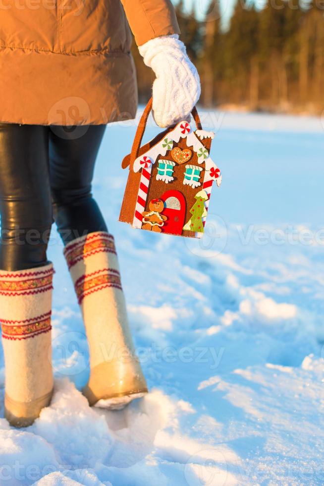 Winter Holiday Gingerbread house photo