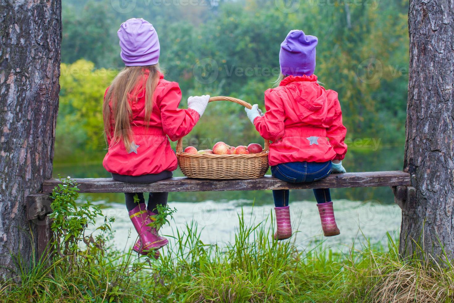 Rear view of two beautiful sisters on bench by the lake with a basket of red apples in their hands photo