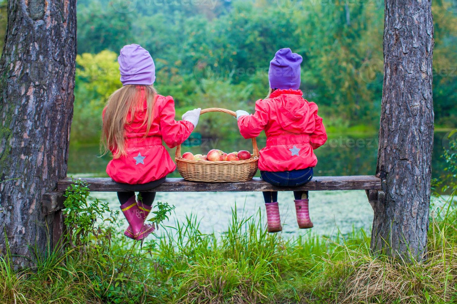 Rear view of two beautiful sisters on bench by the lake with a basket of red apples in their hands photo