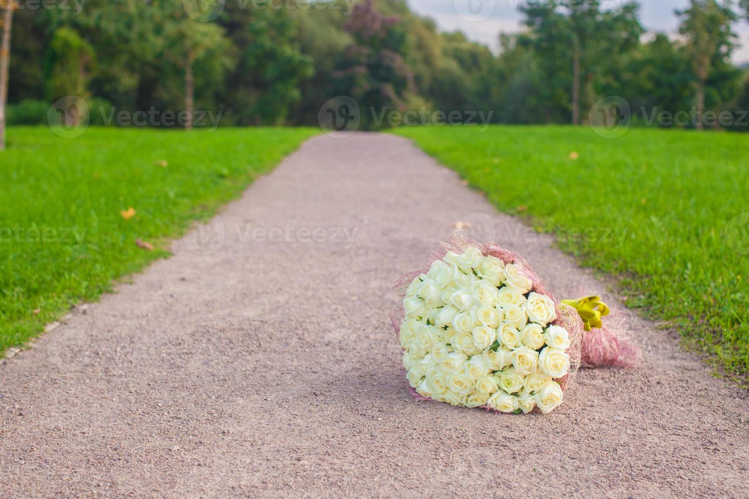 Incredibly beautiful large bouquet of white roses on a sandy path in the garden photo