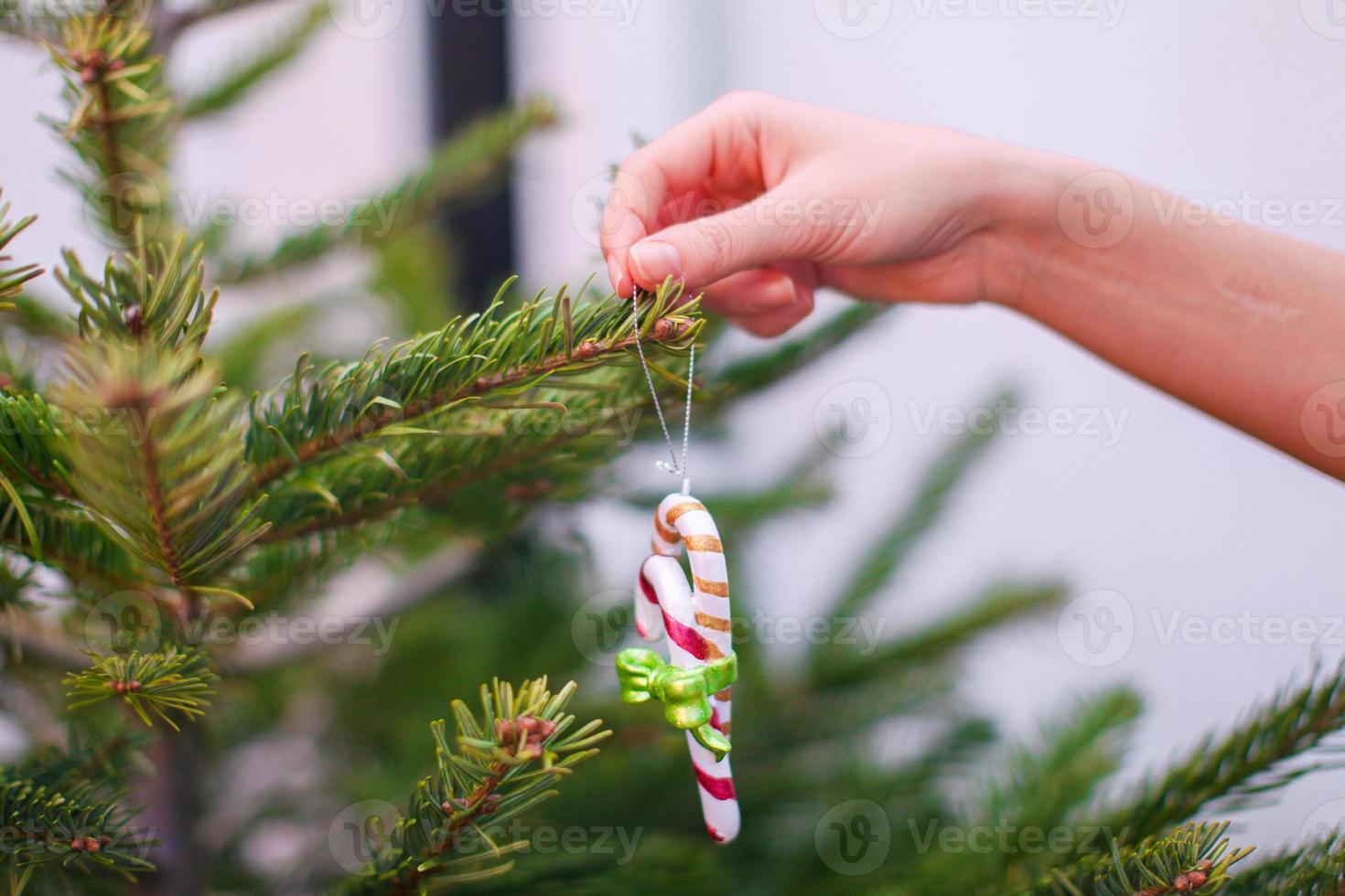 Traditional decoration of the Christmas tree - sweet candy photo