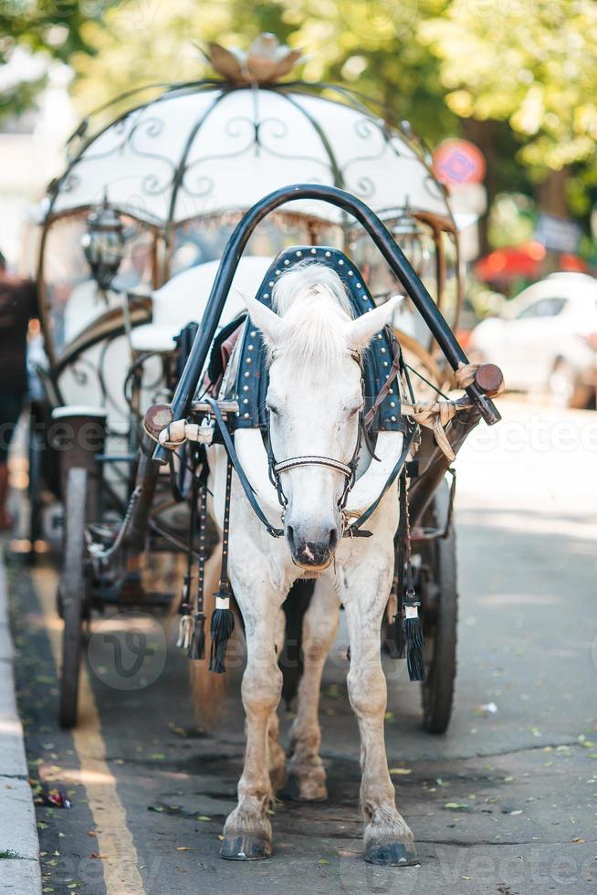 Traditional horse coach Fiaker in Europe photo