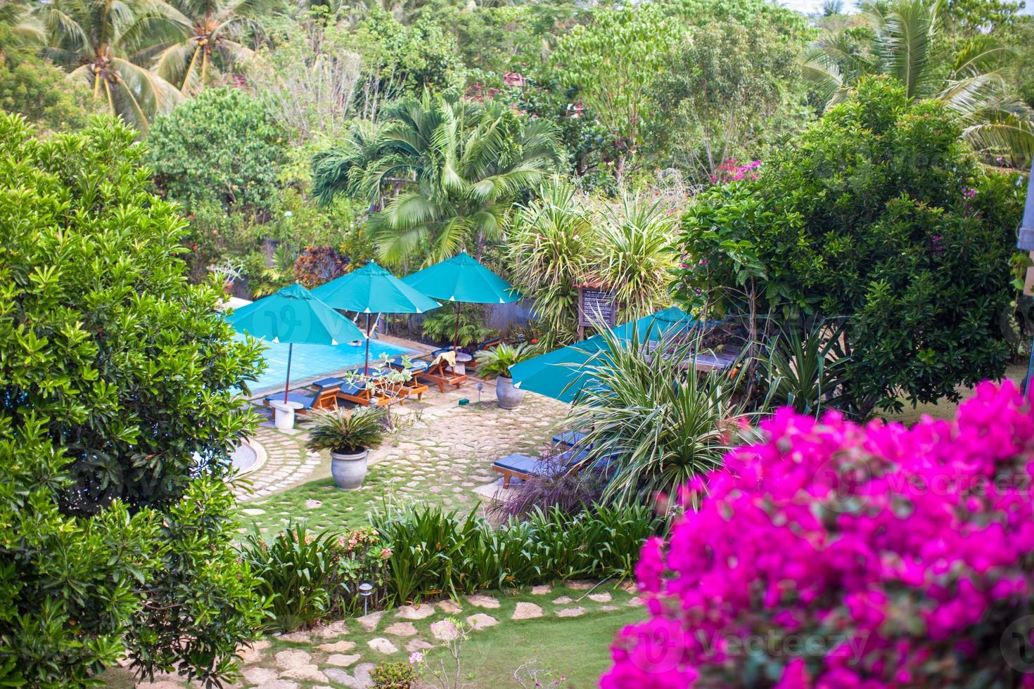 bonita vista del jardín y la piscina en un pequeño y acogedor hotel foto