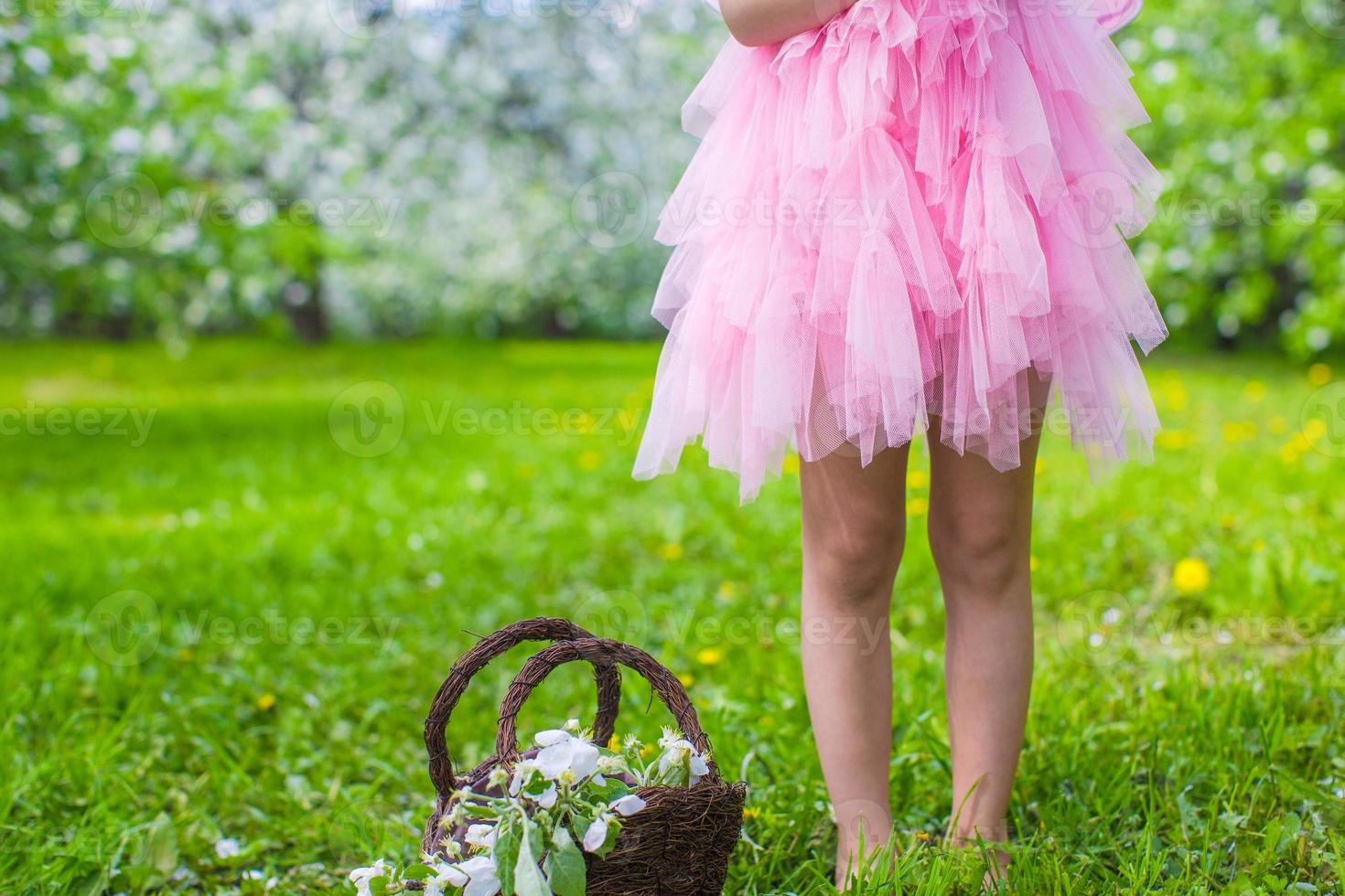 Adorable little girl with straw basket in blossoming apple garden photo