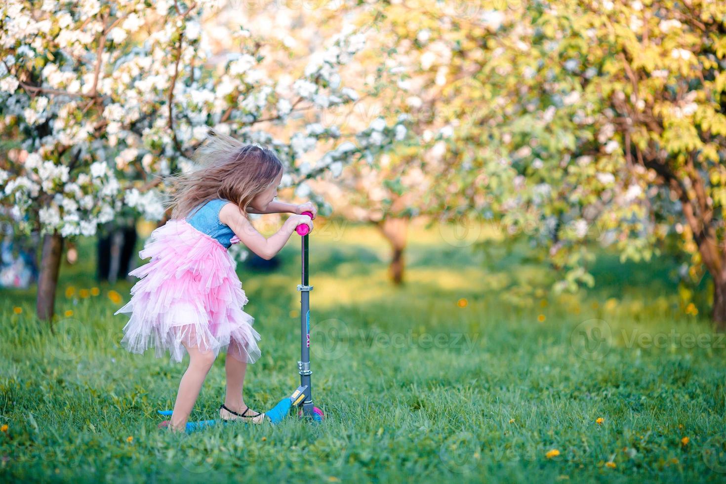 Little girl having fun in blooming apple tree garden on spring day photo