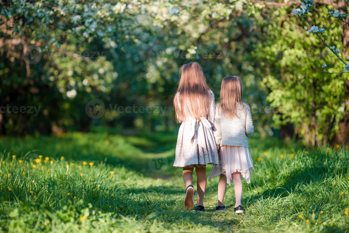 vista trasera de adorables chicas caminando en un floreciente jardín de manzanas en el soleado día de primavera foto