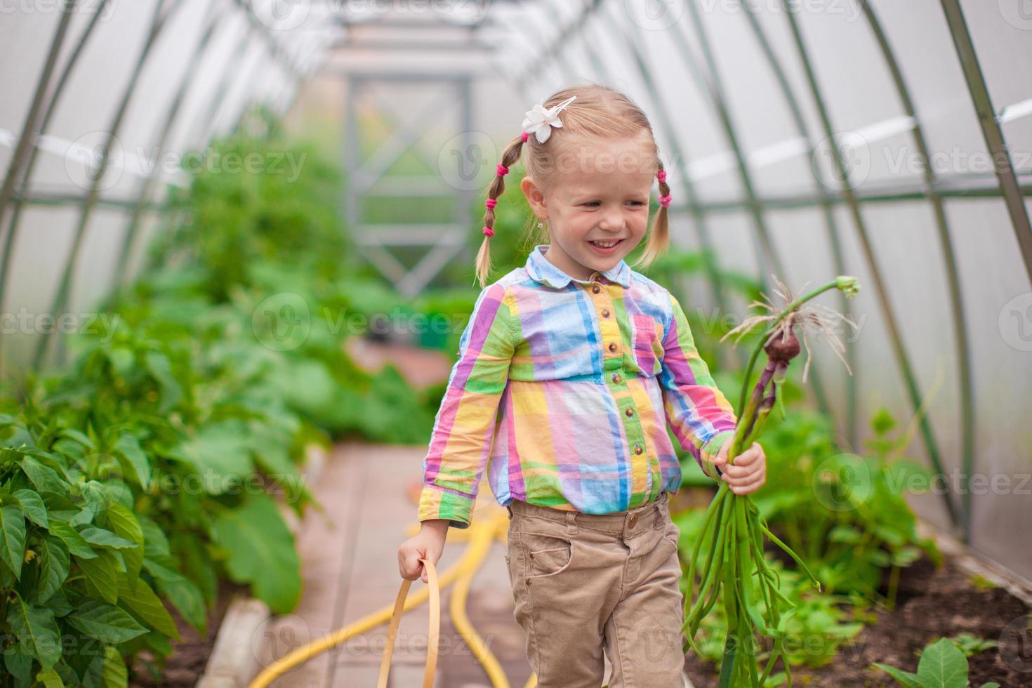 Little adorable girl with the harvest in a greenhouse photo