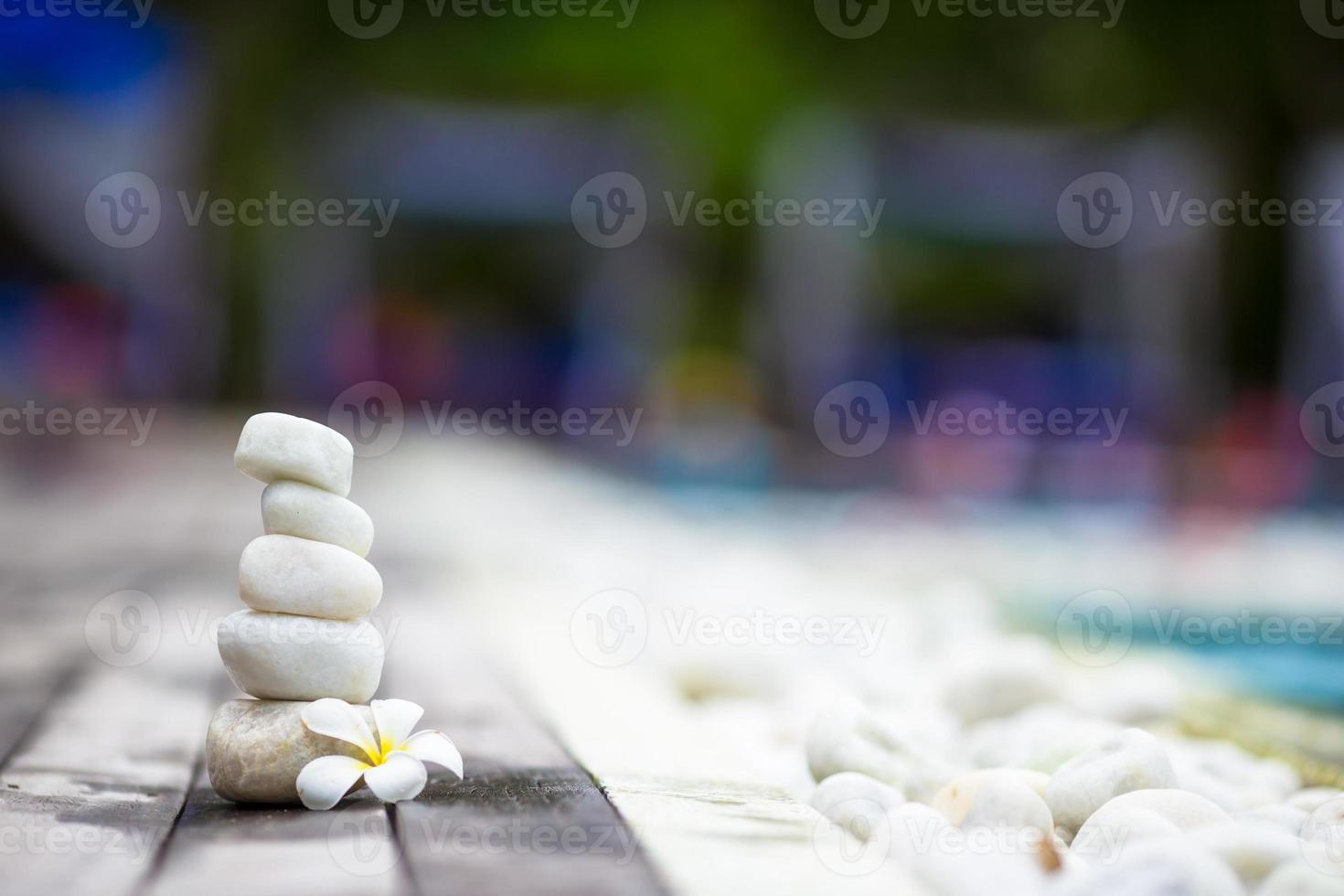 White balanced stones and white plumeria near swimming pool outdoors photo