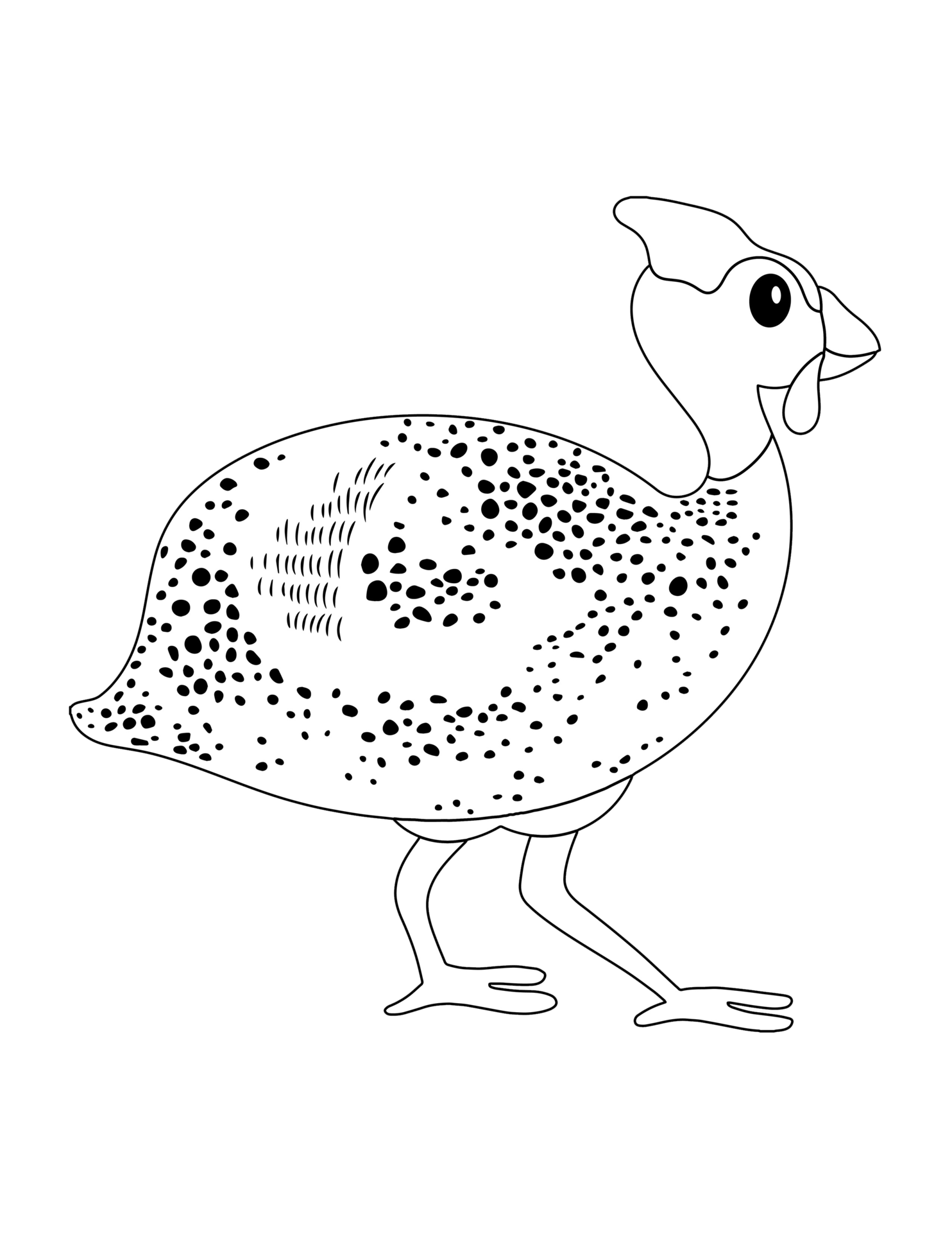 The Unexpected Danger Of Guinea Fowl: Are They Safe? - 363lg5r