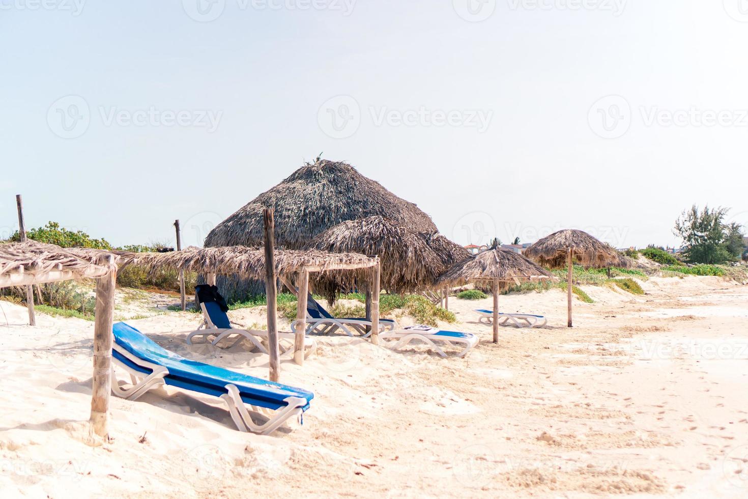 Idyllic tropical beach with white sand, turquoise ocean water and big palm trees photo