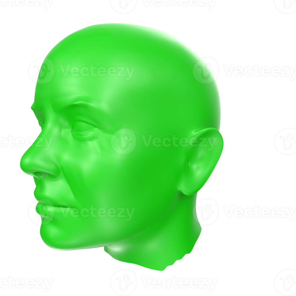 representación 3d del busto humano png