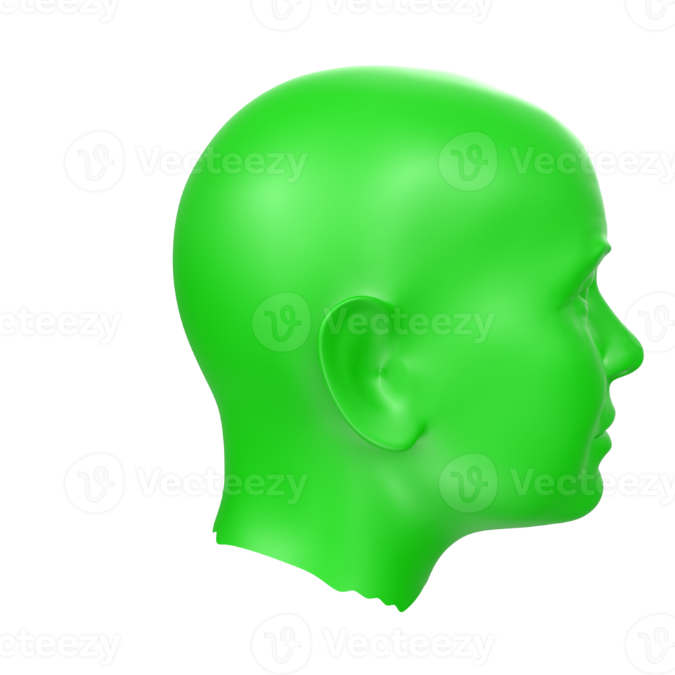 3D Rendering Of Human Bust png