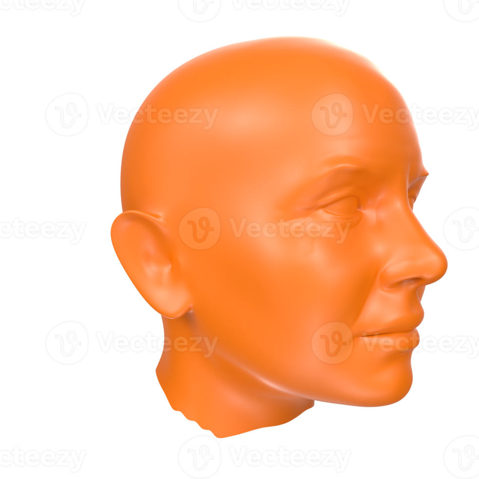 representación 3d del busto humano png