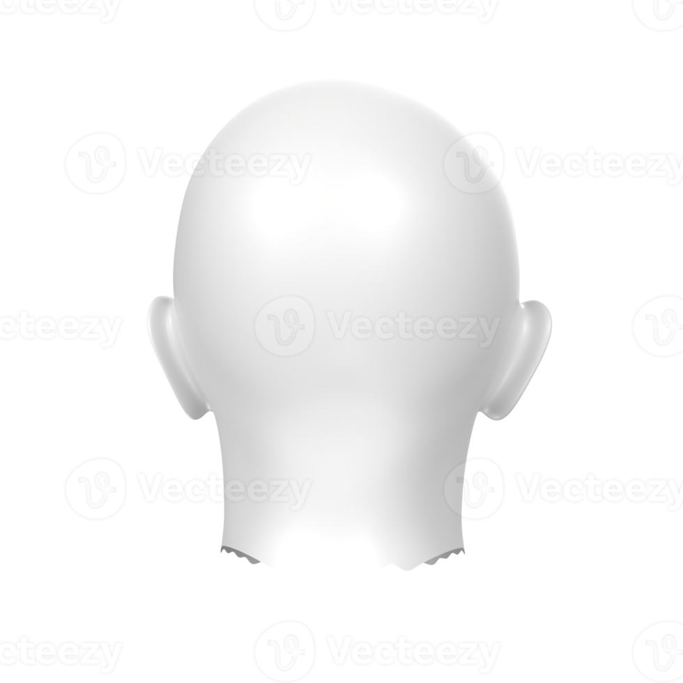 3D Rendering Of Human Bust png