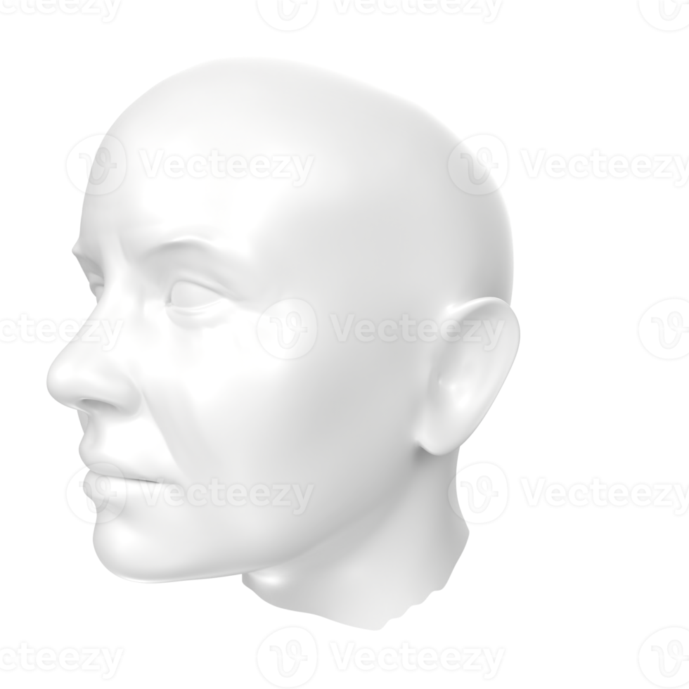 3D Rendering Of Human Bust png